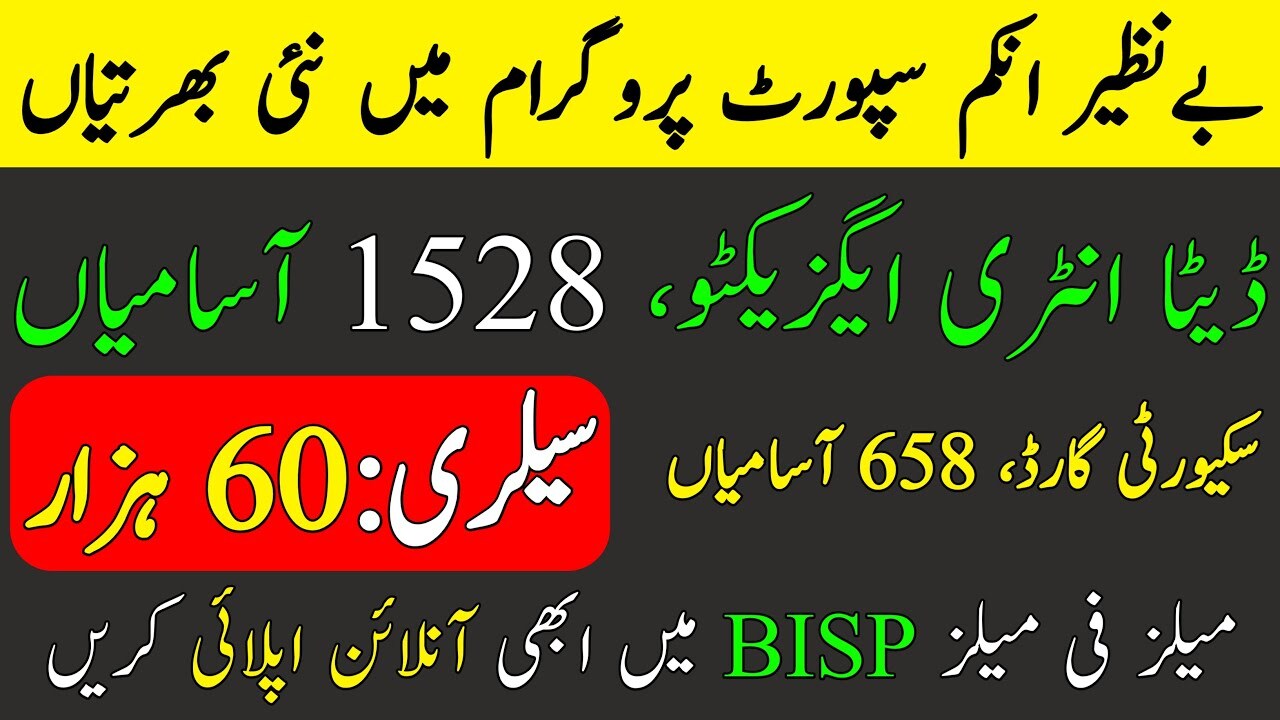 Benazir Income Support Programme BISP Jobs 2025 For Data Entry Executive